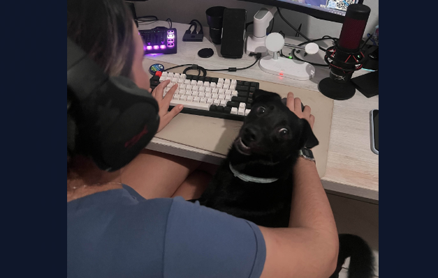 Shoyu protegendo a @deborahcarolinec